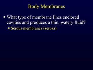 Body Membranes What type of membrane lines enclosed cavities and produces a thin, watery fluid? Serous membranes (serosa) 