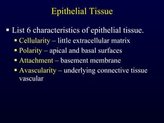 Epithelial Tissue List 6 characteristics of epithelial tissue. Cellularity  – little extracellular matrix Polarity  – apical and basal surfaces Attachment  – basement membrane Avascularity  – underlying connective tissue vascular 