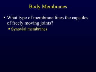 Body Membranes What type of membrane lines the capsules of freely moving joints? Synovial membranes 