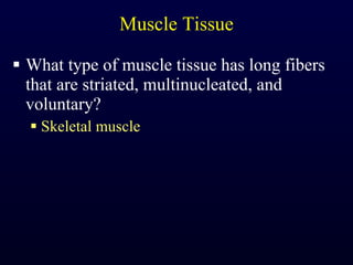 Muscle Tissue What type of muscle tissue has long fibers that are striated, multinucleated, and voluntary? Skeletal muscle 