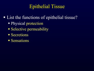 Epithelial Tissue List the functions of epithelial tissue? Physical  protection Selective permeability Secretions Sensations 