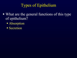 Types of Epithelium What are the general functions of this type of epithelium? Absorption Secretion 
