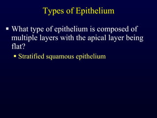 Types of Epithelium What type of epithelium is composed of multiple layers with the apical layer being flat? Stratified squamous epithelium 