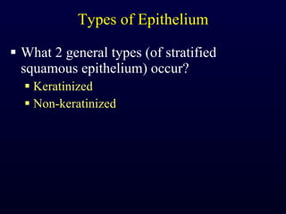Types of Epithelium What 2 general types (of stratified squamous epithelium) occur? Keratinized Non-keratinized 
