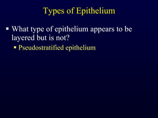 Types of Epithelium What type of epithelium appears to be layered but is not? Pseudostratified epithelium 