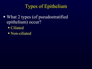 Types of Epithelium What 2 types (of pseudostratified epithelium) occur? Ciliated Non-ciliated 