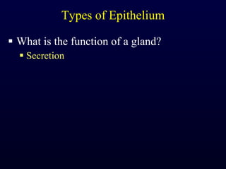 Types of Epithelium What is the function of a gland? Secretion 