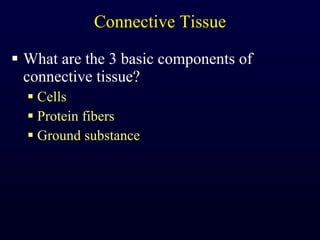 Connective Tissue What are the 3 basic components of connective tissue? Cells Protein fibers Ground substance 