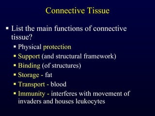 Connective Tissue List the main functions of connective tissue? Physical  protection Support  (and structural framework) Binding  (of structures) Storage -  fat Transport -  blood Immunity -  interferes with movement of invaders and houses leukocytes 