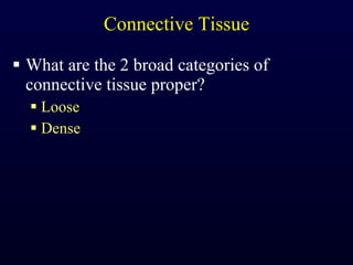 Connective Tissue What are the 2 broad categories of connective tissue proper? Loose Dense 
