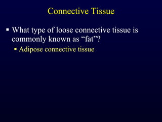 Connective Tissue What type of loose connective tissue is commonly known as “fat”? Adipose connective tissue 