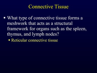 Connective Tissue What type of connective tissue forms a meshwork that acts as a structural framework for organs such as the spleen, thymus, and lymph nodes? Reticular connective tissue 