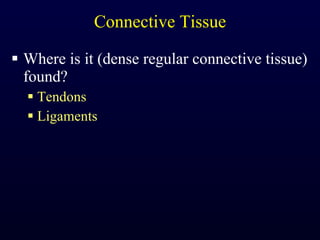 Connective Tissue Where is it (dense regular connective tissue) found? Tendons Ligaments 