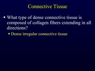 Connective Tissue What type of dense connective tissue is composed of collagen fibers extending in all directions? Dense irregular connective tissue 