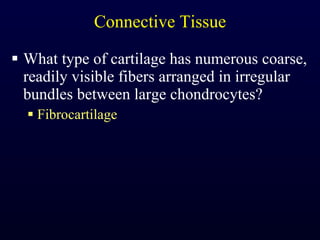 Connective Tissue What type of cartilage has numerous coarse, readily visible fibers arranged in irregular bundles between large chondrocytes? Fibrocartilage 