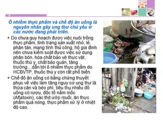 TPCN và chức năng gan