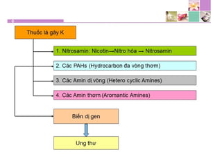 TPCN và chức năng gan