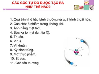 TPCN và chức năng gan