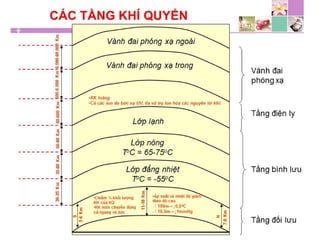 TPCN và chức năng gan