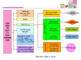 TPCN và chức năng gan