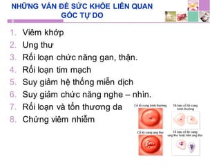 TPCN và chức năng gan
