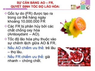 TPCN và chức năng gan