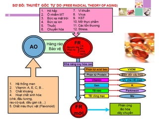 TPCN và chức năng gan