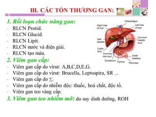 TPCN và chức năng gan