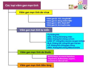 TPCN và chức năng gan
