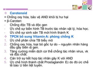 TPCN và chức năng gan