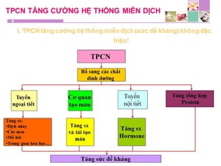 TPCN và chức năng gan