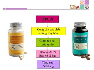 TPCN và chức năng gan