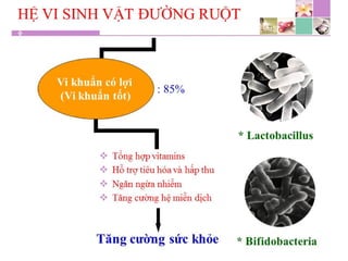 TPCN và chức năng gan