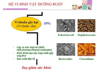 TPCN và chức năng gan