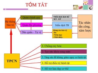 TPCN và chức năng gan