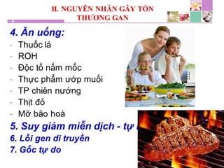 TPCN và chức năng gan