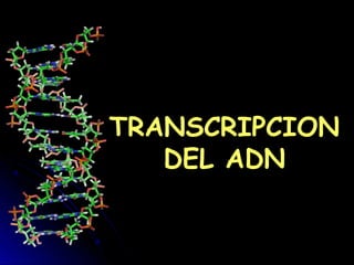 TRANSCRIPCION
DEL ADN
 
