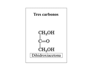 Tres carbonos




Dihidroxiacetona
 