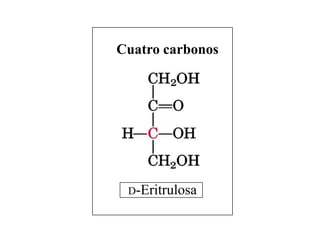 Cuatro carbonos




 D-Eritrulosa
 