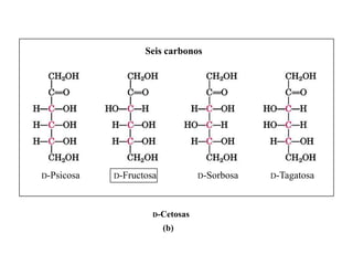 Seis carbonos




D-Psicosa   D-Fructosa           D-Sorbosa   D-Tagatosa



                     D-Cetosas

                         (b)
 
