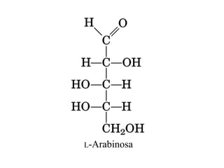 L-Arabinosa
 