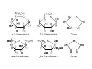 α-D-Glucopiranosa    β-D-Glucopiranosa    Pirano




α-D-Fructofuranosa   β-D-Fructofuranosa   Furano
 