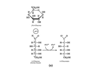 β-D-Glucosa


 


  D-Glucosa            D-Gluconato
(forma lineal)
                 (a)
 