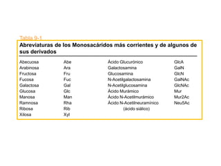Tabla 9-1
Abreviaturas de los Monosacáridos más corrientes y de algunos de
sus derivados
Abecuosa       Abe             Ácido Glucurónico           GlcA
Arabinosa      Ara             Galactosamina               GalN
Fructosa       Fru             Glucosamina                 GlcN
Fucosa         Fuc             N-Acetilgalactosamina       GalNAc
Galactosa      Gal             N-Acetilglucosamina         GlcNAc
Glucosa        Glc             Ácido Murámico              Mur
Manosa         Man             Ácido N-Acetilmurámico      Mur2Ac
Ramnosa        Rha             Ácido N-Acetilneuramínico   Neu5Ac
Ribosa         Rib                     (ácido siálico)
Xilosa         Xyl
 