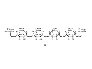 Extremo          Extremo
no reducido         reducido




              (a)
 