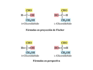 D-Gliceraldehído            L-Gliceraldehído


    Fórmulas en proyección de Fischer




D-Gliceraldehído            L-Gliceraldehído

          Fórmulas en perspectiva
 