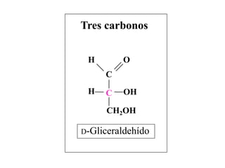 Tres carbonos


 H       O
     C
 H   C   OH

     CH2OH

D-Gliceraldehído
 