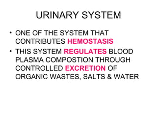 URINARY SYSTEM
• ONE OF THE SYSTEM THAT
CONTRIBUTES HEMOSTASIS
• THIS SYSTEM REGULATES BLOOD
PLASMA COMPOSTION THROUGH
CONTROLLED EXCRETION OF
ORGANIC WASTES, SALTS & WATER
 