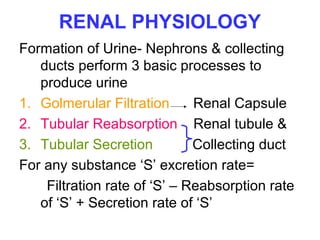 RENAL PHYSIOLOGY
Formation of Urine- Nephrons & collecting
ducts perform 3 basic processes to
produce urine
1. Golmerular Filtration Renal Capsule
2. Tubular Reabsorption Renal tubule &
3. Tubular Secretion Collecting duct
For any substance ‘S’ excretion rate=
Filtration rate of ‘S’ – Reabsorption rate
of ‘S’ + Secretion rate of ‘S’
 