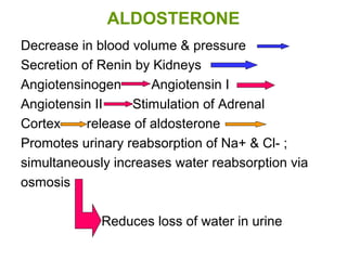 ALDOSTERONE
Decrease in blood volume & pressure
Secretion of Renin by Kidneys
Angiotensinogen Angiotensin I
Angiotensin II Stimulation of Adrenal
Cortex release of aldosterone
Promotes urinary reabsorption of Na+ & Cl- ;
simultaneously increases water reabsorption via
osmosis
Reduces loss of water in urine
 